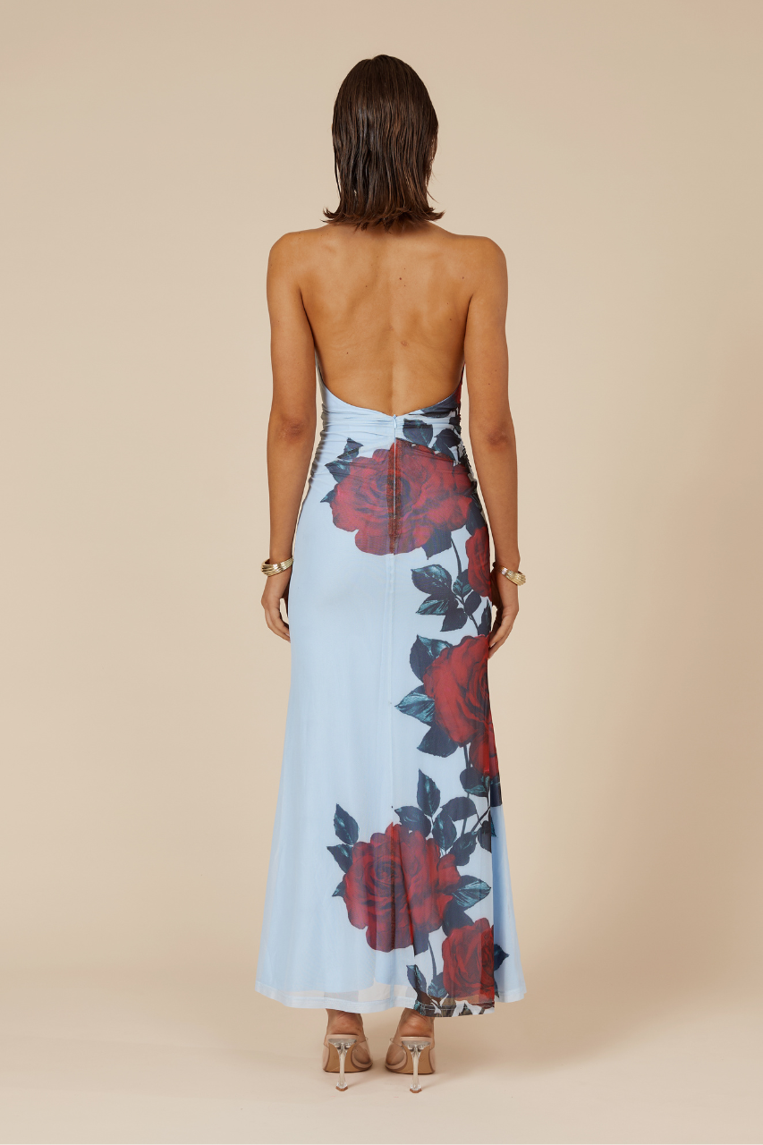 ANTONIE MAXI DRESS - RED ROSE - 8_66a5a76d-50e5-4cdd-b1cd-c6cc8a5062d8