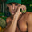 RUNAWAY PLAIN  CAP - EMERALD