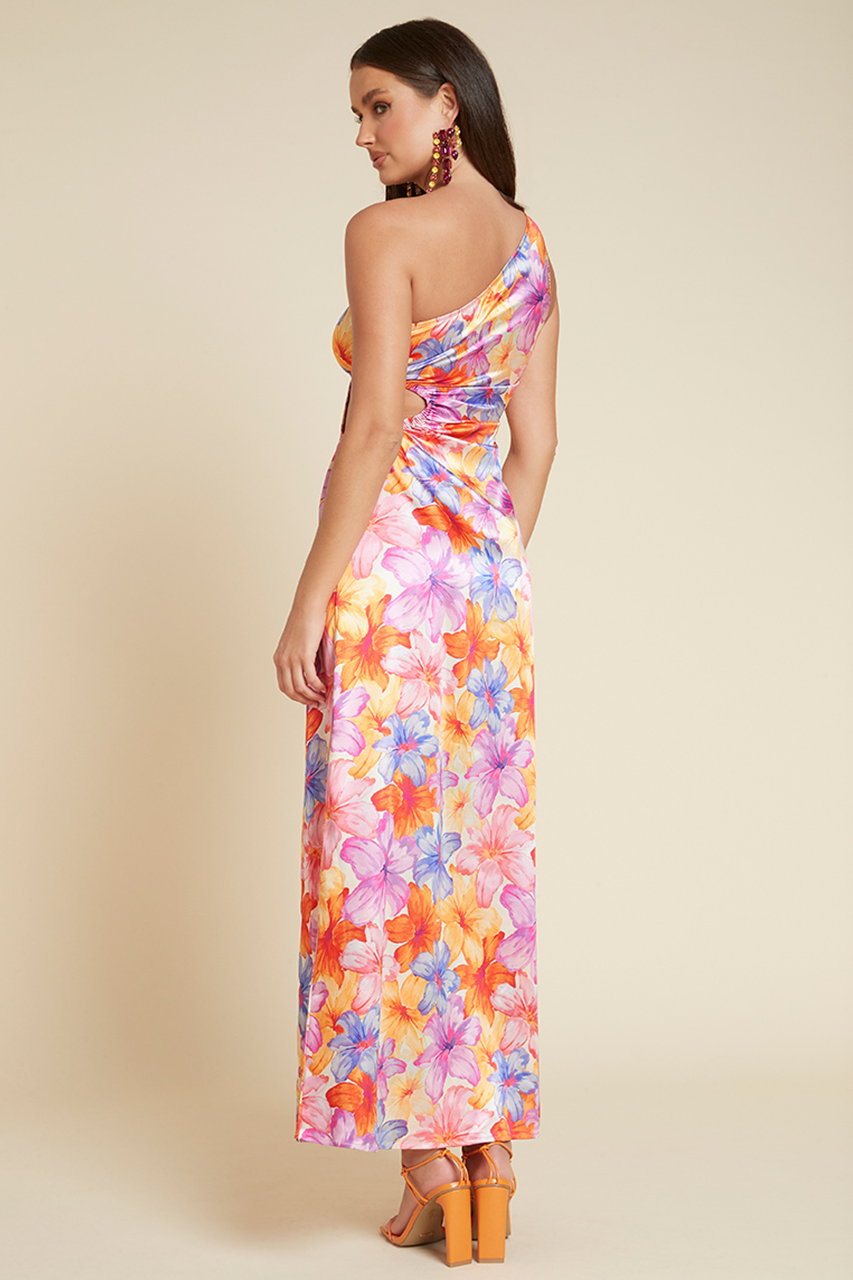 SPLENDOUR MAXI DRESS - FLORAL - WEBRESIZED78_0c67b595-9dd7-43e6-86e7-fc2e4e119e1e
